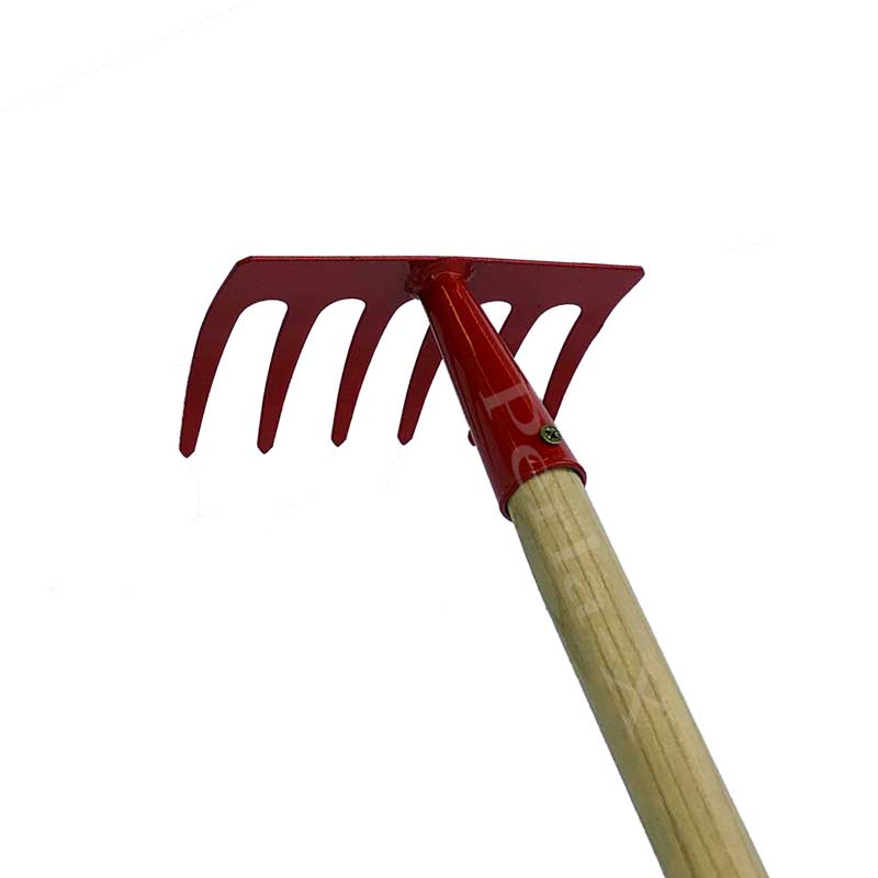 6225